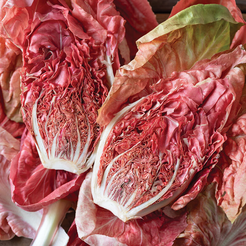 Stella Rosa – Radicchio Seed